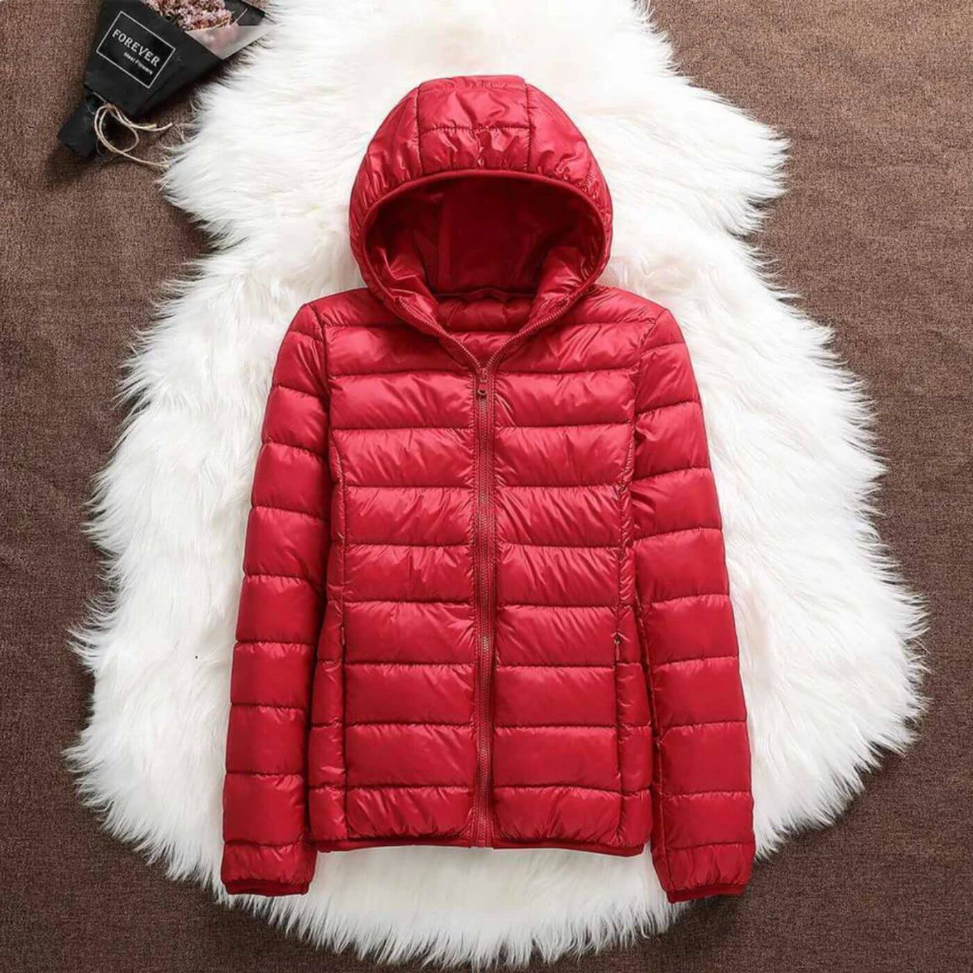 Lightweight Windproof Hooded Puffer Jacket with Zip Closure